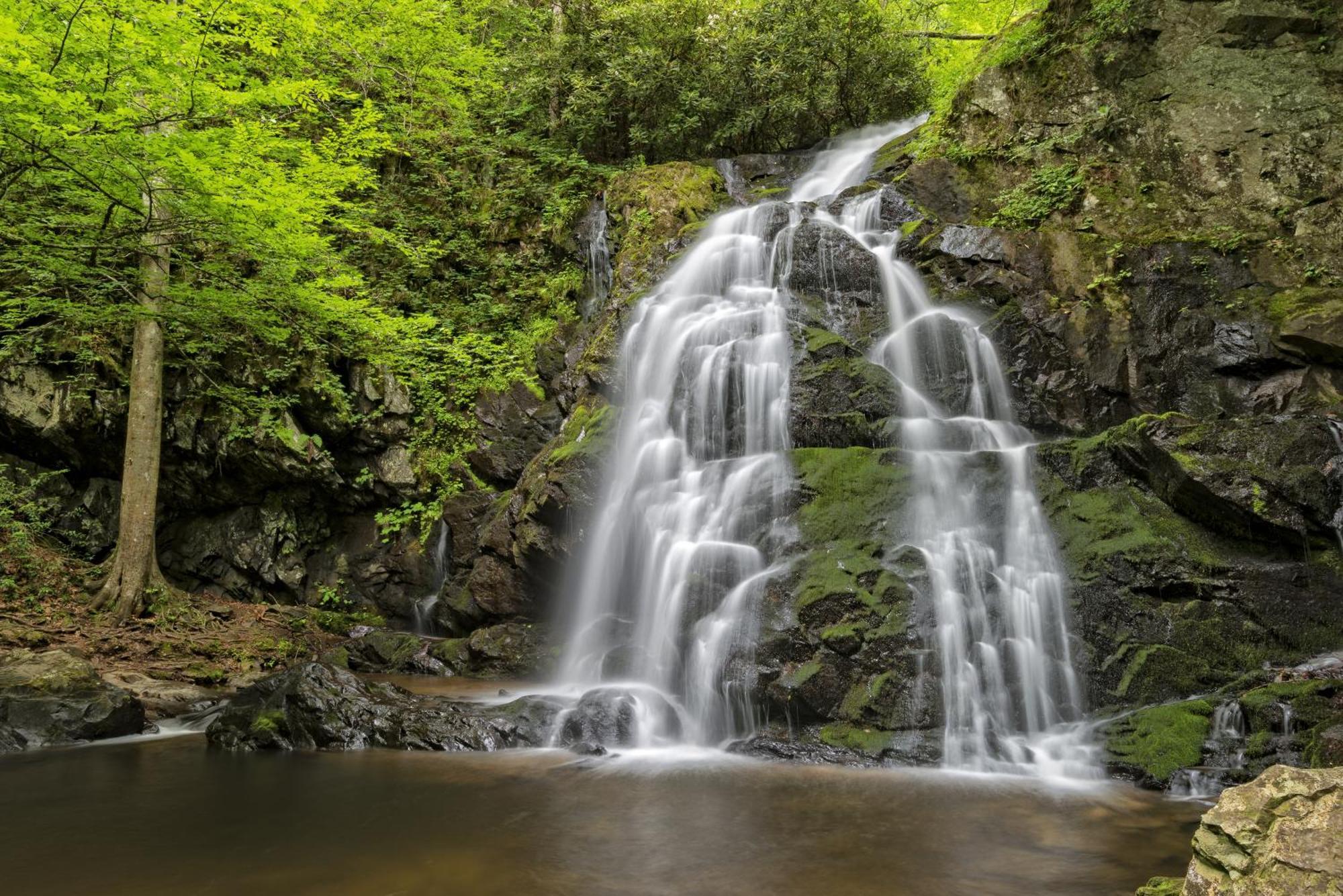 Hidden Memories, Hot Tub, 1089 Of Free Attraction Tickets For Each Paid Day, Dollywood And More Gatlinburg Exteriör bild