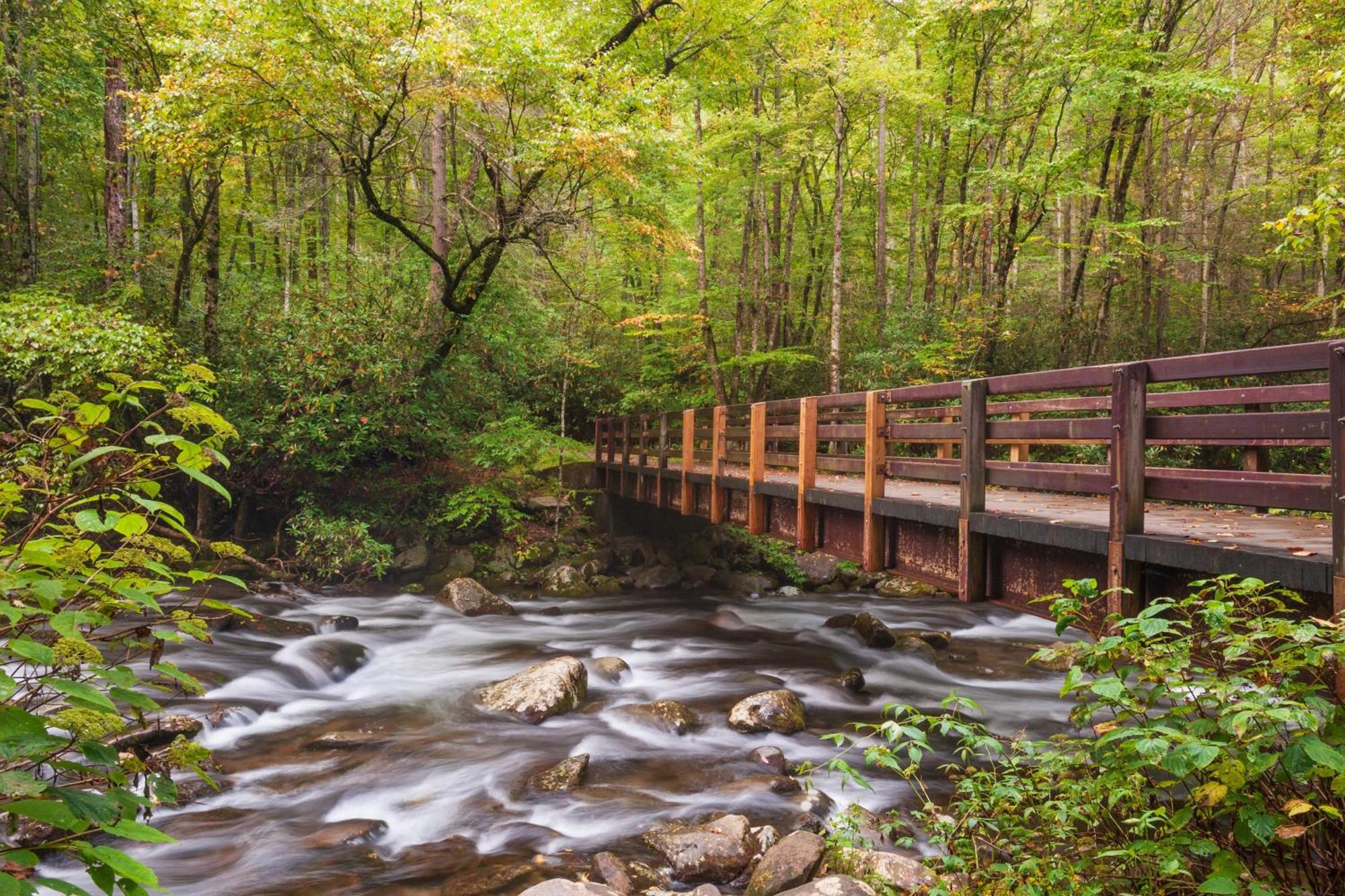 Hidden Memories, Hot Tub, 1089 Of Free Attraction Tickets For Each Paid Day, Dollywood And More Gatlinburg Exteriör bild